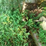 IMG-20250616-WA0022
