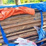 gambar_1_kayu